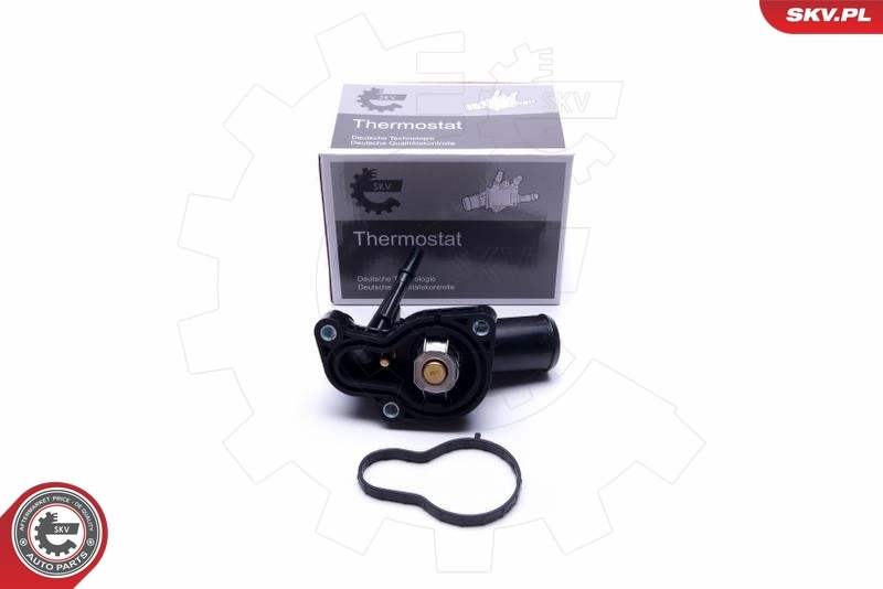 Thermostat, coolant